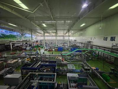 華山腳下，品質牛奶的綠色傳奇 從生態牧場到‘華山之巔’的匠心之旅