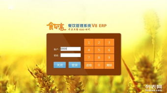 食如意餐飲管理系統 湖南餐飲業的智能管理解決方案