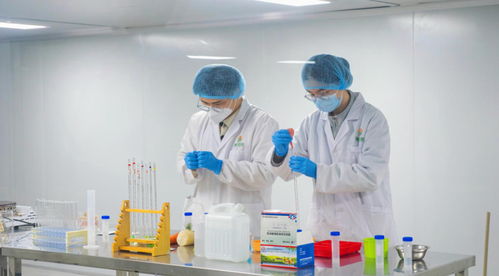 福鼎市福供云廚項目竣工暨2023年“開門穩”啟動儀式圓滿舉行